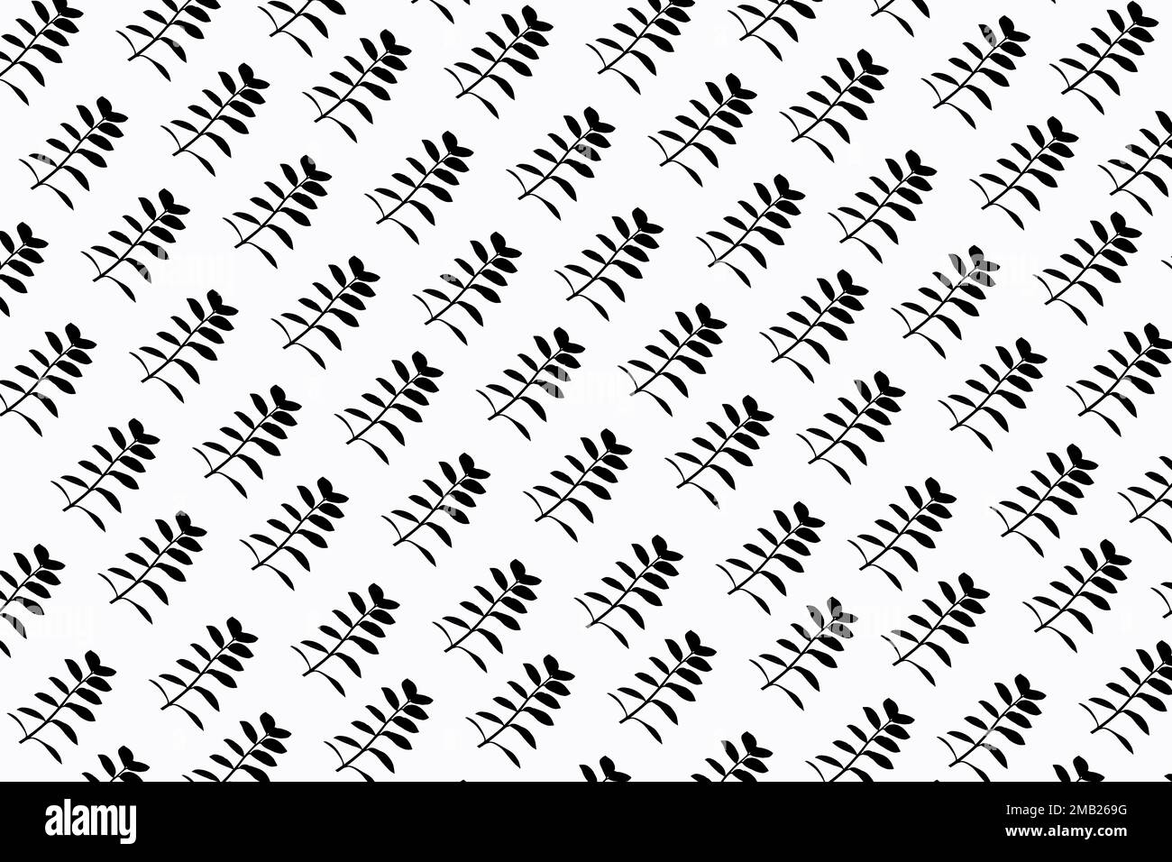 Muster aus schwarzer Silhouette der Zamioculcas-Pflanze auf weißem Hintergrund Stockfoto