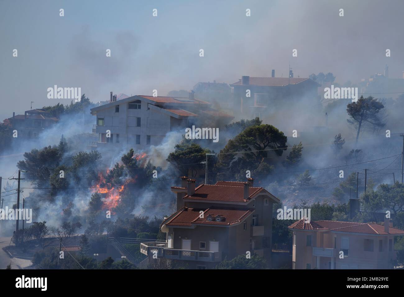 Fire burns next to houses in the area of Drafi east of Athens on Wednesday, July 20, 2022. Hundreds of people were evacuated from their homes late Tuesday as a wildfire threatened mountainside suburbs northeast of Athens. Firefighters battled through the night, struggling to contain the blaze which was being intensified by strong gusts of wind. (AP Photo/Thanassis Stavrakis) Stockfoto