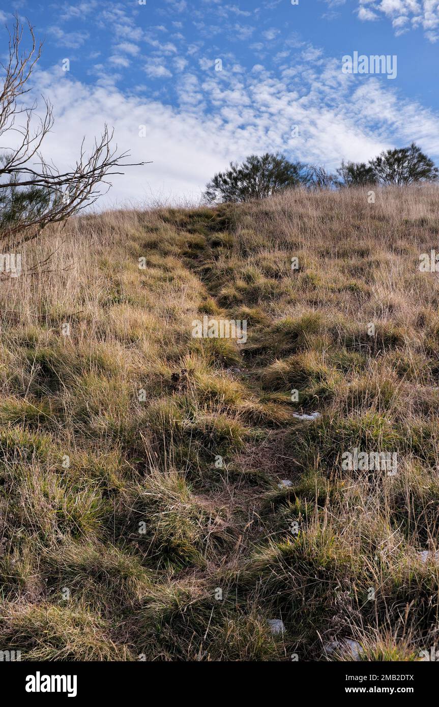Steiler und rauer Bergpfad im Ätna-Nationalpark, ein Naturpfad zum Wandern auf dem alten Vulkan Mount Ruvolo, Bronte, Sizilien, Italien Stockfoto