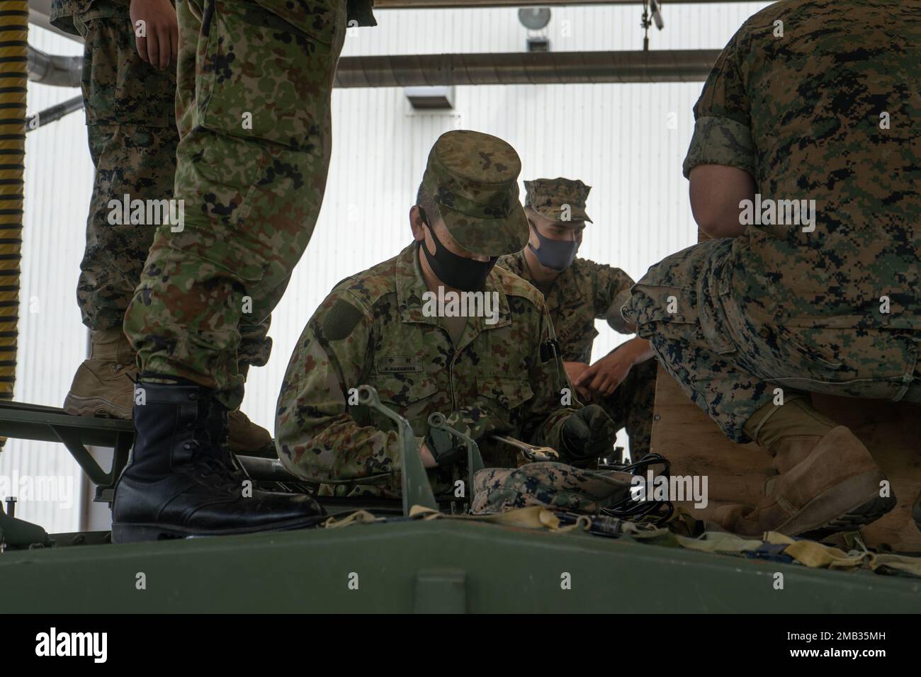 USA Marines mit 3D Bataillons, 2D Marines und Japan Ground Self-Defense Force Soldaten bereiten während der Übung Shinka 22,1 im Combined Arms Training Center, Camp Fuji, Japan, am 10. Juni 2022 Kampfgeräte vor. Shinka ist ein Beispiel für ein gemeinsames Engagement für eine realistische Ausbildung, die tödliche, einsatzbereite und anpassungsfähige Kräfte hervorbringt, die in der Lage sind, dezentralisierte Operationen über ein breites Spektrum von Missionen hinweg durchzuführen. 3/2 ist im Indo-Pacific unter 4. Marines, 3D Marine Division im Rahmen des Unit Deployment Program vorwärtsstationiert. Stockfoto