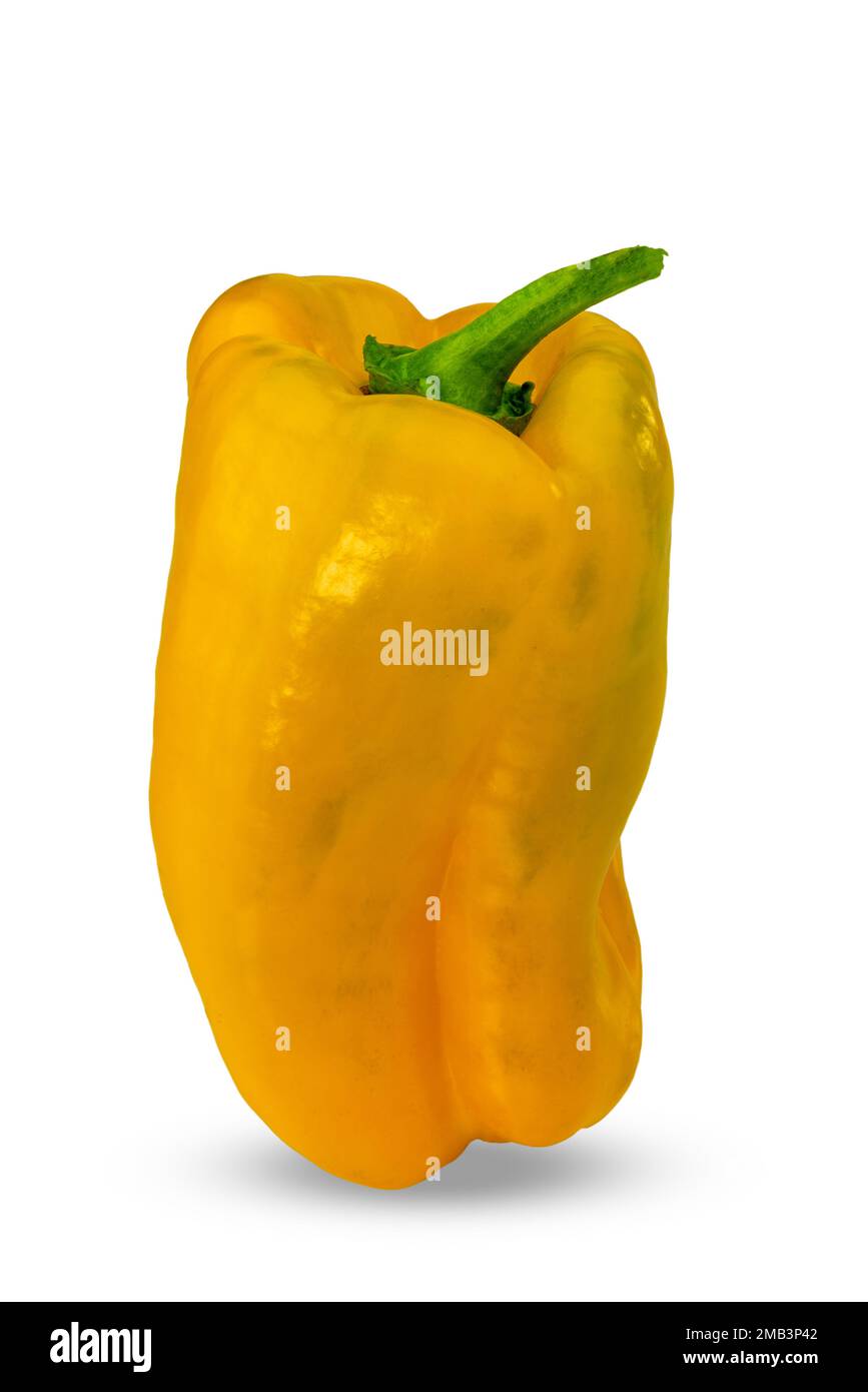 Gelbe Paprika, isoliert auf weiß, mit Clipping-Pfad im Lieferumfang enthalten Stockfoto