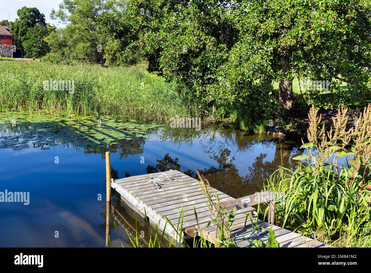 Kleiner Holzsteg mit Schilf und Seerosen, Steg im Sommer, Schild mit der Aufschrift privat, Maelarsee, Maelarsee, Mariefred, Straengnaes Stockfoto