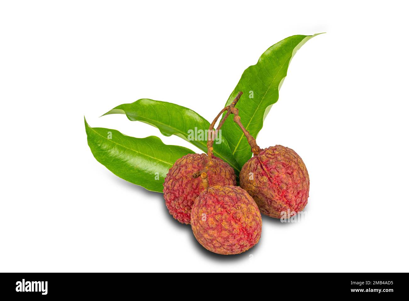 Ein Haufen Lychee mit grünen Blättern, isoliert auf weißem Hintergrund mit Schnittpfad. Lychee ist eine tropische Frucht, die in China und einigen Ländern heimisch ist Stockfoto