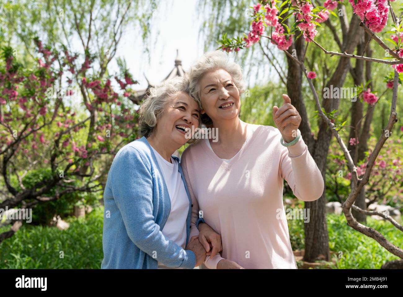 Zwei ältere Frauen mögen Blumen Stockfoto