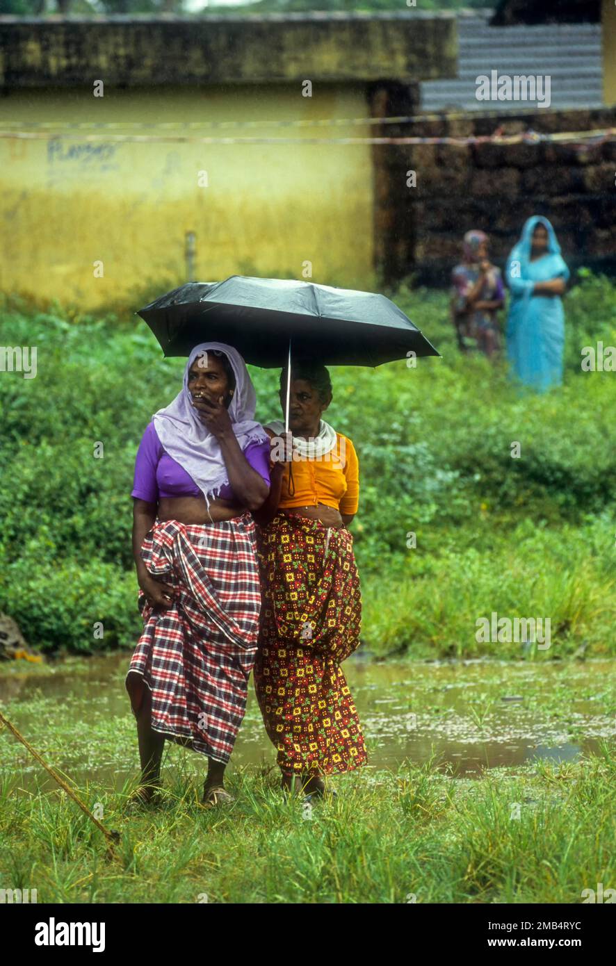 Zwei Frauen stehen mit einem Regenschirm an einem Regentag in Attappadi, Kerala, Indien, Asien Stockfoto