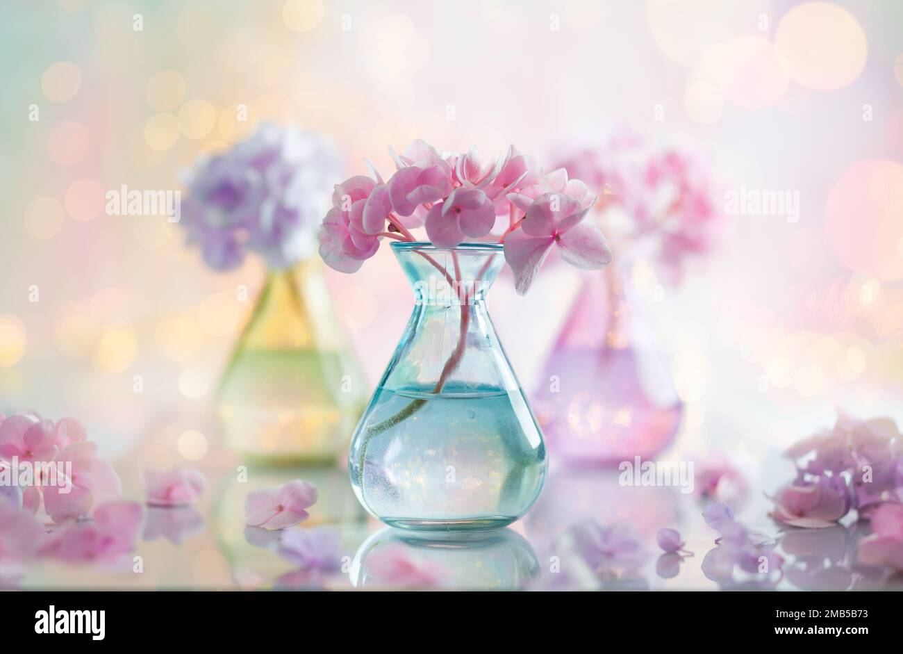 Bouquets wunderschöner Hortensien in bunten Glasvasen vor Bokeh-Hintergrund. Inneneinrichtung des Hauses. Stockfoto
