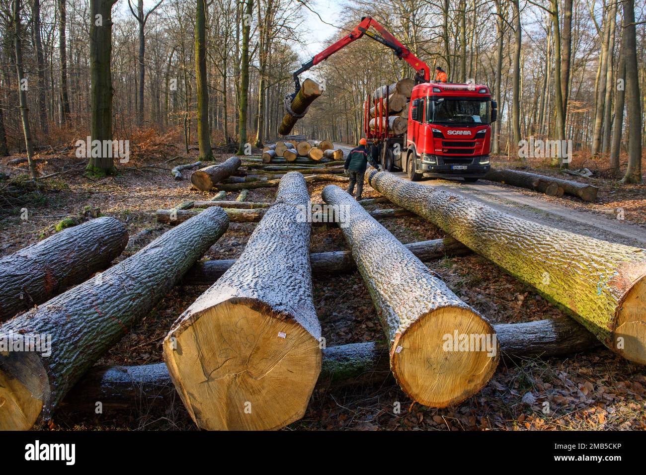 Altenhausen Fotos und Bildmaterial in hoher Auflösung Alamy