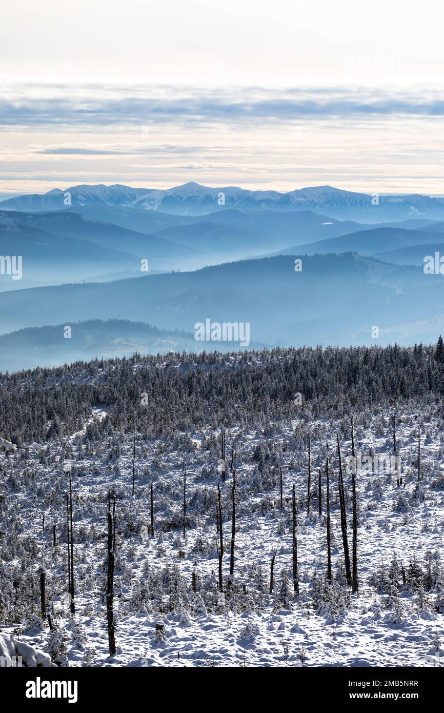 Mystische, traumhafte Winterlandschaft mit nebligen Hügeln und Tälern Stockfoto