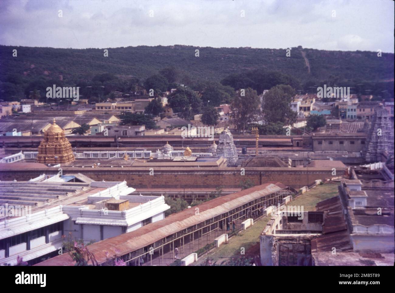 Der Sri Venkateswara Swami Vaari Tempel ist ein hinduistischer Tempel in der Bergstadt Tirumala in Tirupati im Tirupati-Viertel von Andhra Pradesh, Indien. Der Tempel ist Venkateswara gewidmet, einer Form von Vishnu, von der man annimmt, dass er auf der Erde erschienen ist, um die Menschheit vor den Prüfungen und Problemen von Kali Yuga zu retten. Hindu-Tempel in der Bergstadt Tirumala in Tirupati im Tirupati-Viertel von Andhra Pradesh, Indien. Stockfoto