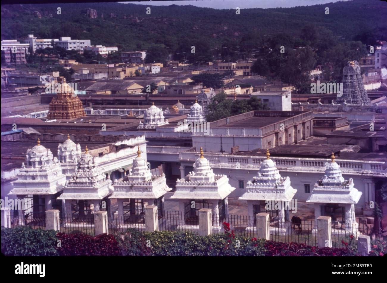 Der Sri Venkateswara Swami Vaari Tempel ist ein hinduistischer Tempel in der Bergstadt Tirumala in Tirupati im Tirupati-Viertel von Andhra Pradesh, Indien. Der Tempel ist Venkateswara gewidmet, einer Form von Vishnu, von der man annimmt, dass er auf der Erde erschienen ist, um die Menschheit vor den Prüfungen und Problemen von Kali Yuga zu retten. Hindu-Tempel in der Bergstadt Tirumala in Tirupati im Tirupati-Viertel von Andhra Pradesh, Indien. Stockfoto