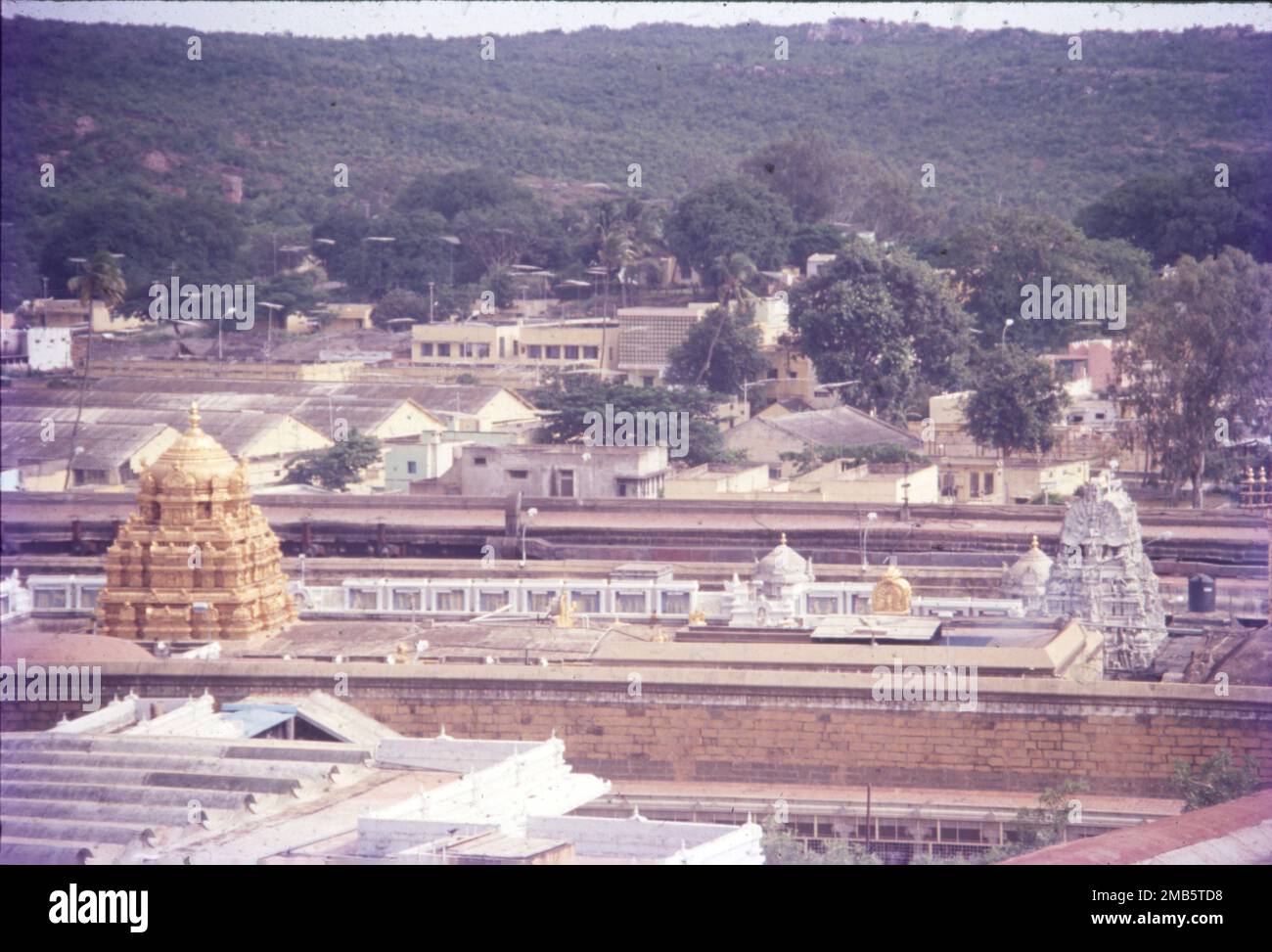 Der Sri Venkateswara Swami Vaari Tempel ist ein hinduistischer Tempel in der Bergstadt Tirumala in Tirupati im Tirupati-Viertel von Andhra Pradesh, Indien. Der Tempel ist Venkateswara gewidmet, einer Form von Vishnu, von der man annimmt, dass er auf der Erde erschienen ist, um die Menschheit vor den Prüfungen und Problemen von Kali Yuga zu retten. Hindu-Tempel in der Bergstadt Tirumala in Tirupati im Tirupati-Viertel von Andhra Pradesh, Indien. Stockfoto