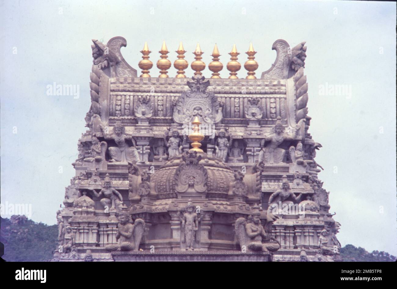 Der Sri Venkateswara Swami Vaari Tempel ist ein hinduistischer Tempel in der Bergstadt Tirumala in Tirupati im Tirupati-Viertel von Andhra Pradesh, Indien. Der Tempel ist Venkateswara gewidmet, einer Form von Vishnu, von der man annimmt, dass er auf der Erde erschienen ist, um die Menschheit vor den Prüfungen und Problemen von Kali Yuga zu retten. Hindu-Tempel in der Bergstadt Tirumala in Tirupati im Tirupati-Viertel von Andhra Pradesh, Indien. Stockfoto
