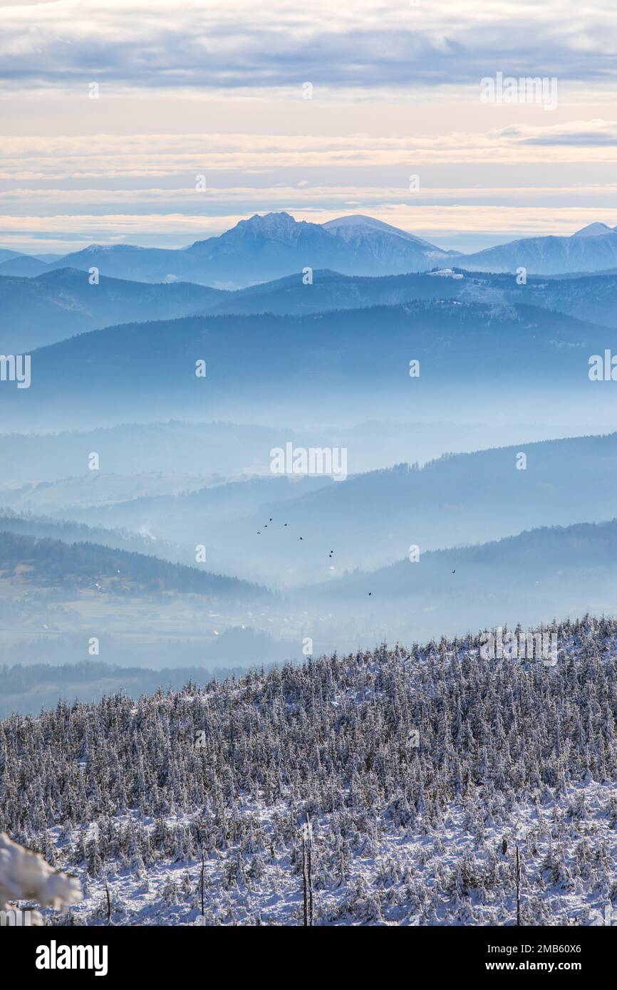 Mystische, traumhafte Winterlandschaft mit nebligen Hügeln und Tälern Stockfoto