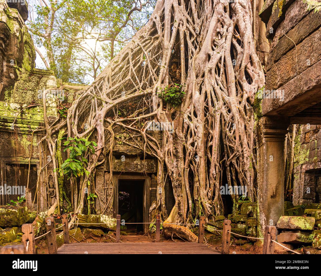 Eine geheimnisvolle Eingangstür im Ta-Prohm-Tempel ein berühmtes Reiseziel in Angkor Wat in Siem Reap, Kambodscha Stockfoto