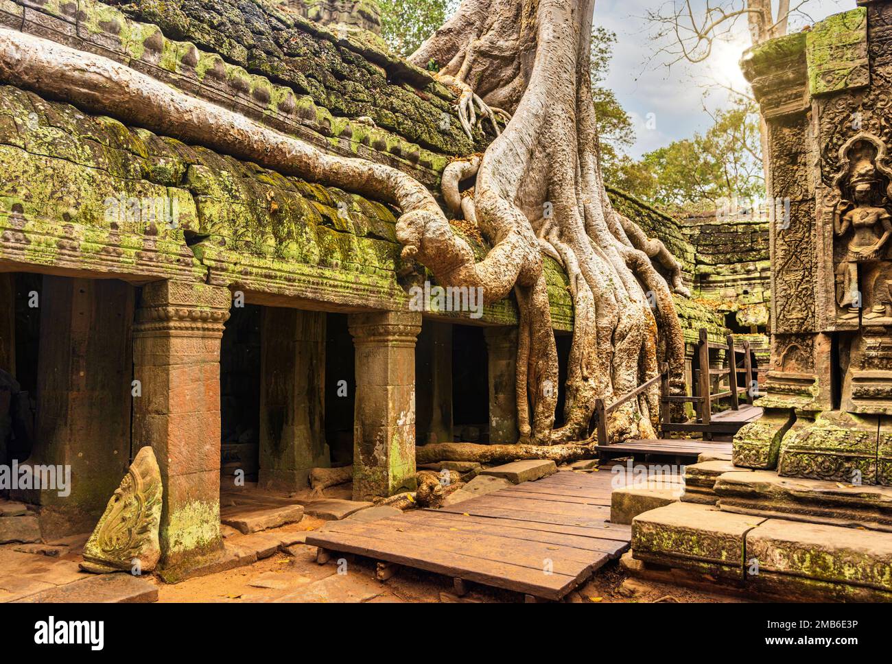 Wurzeln eines riesigen Baumes, der über den antiken Ruinen des Ta-Prohm-Tempels in Angkor Wat, Siem Reap, Kambodscha wächst Stockfoto