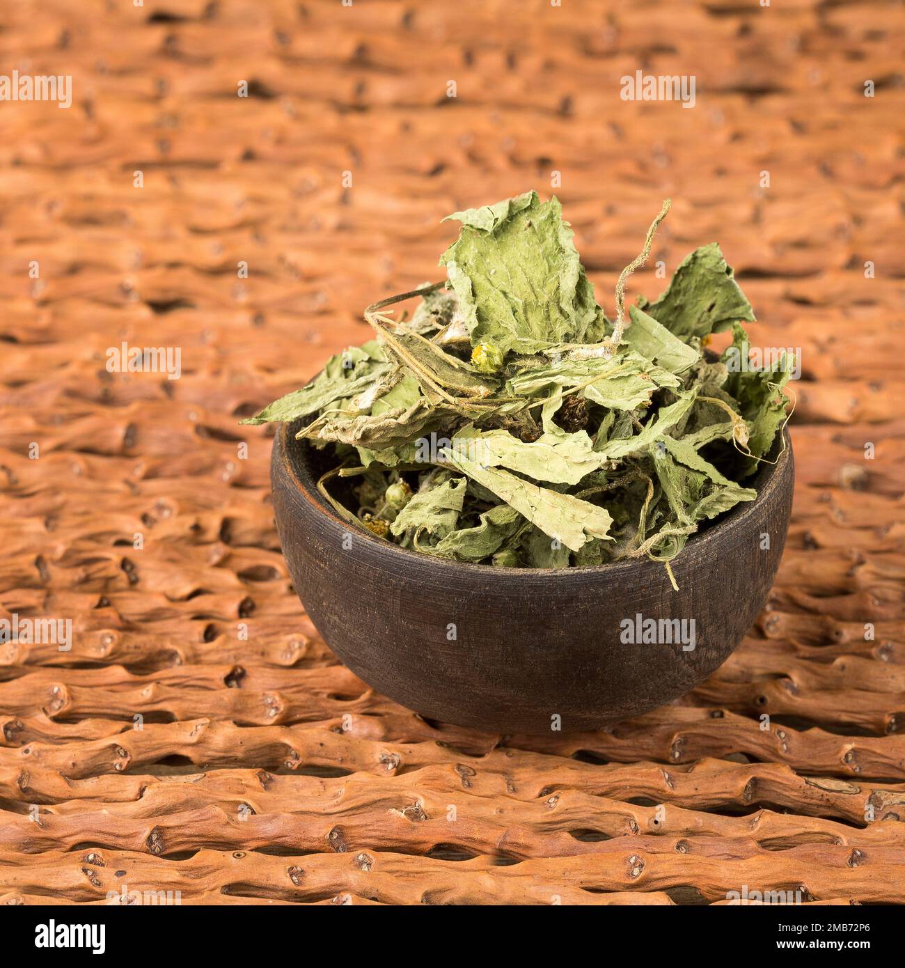 Galinsoga parviflora - getrocknete, dehydrierte Guasca-Blätter Stockfoto