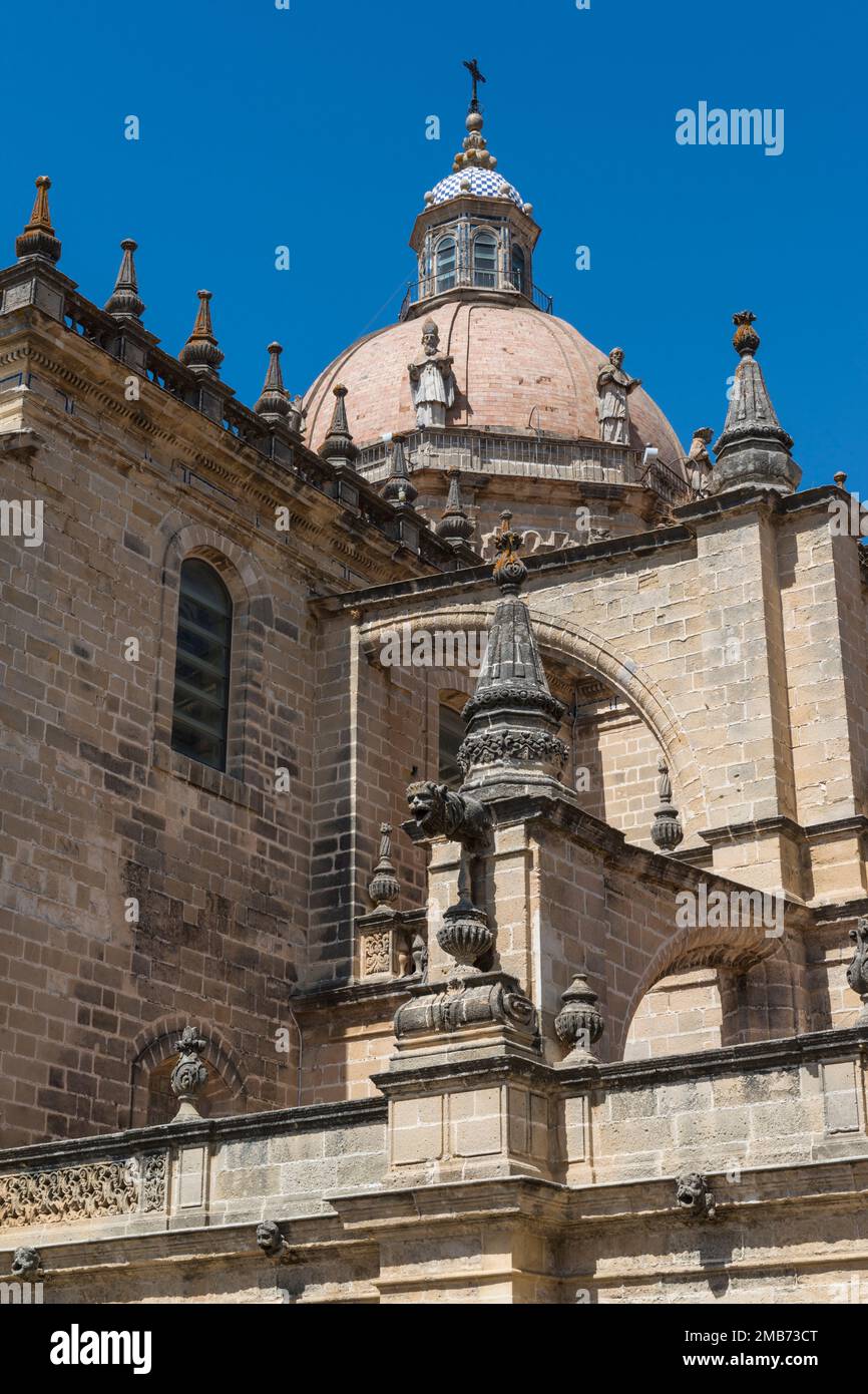 Die Kuppel der Kathedrale von Jerez de la Frontera, von unten gesehen. Jerez de la Frontera, Andalusien, Spanien. Stockfoto