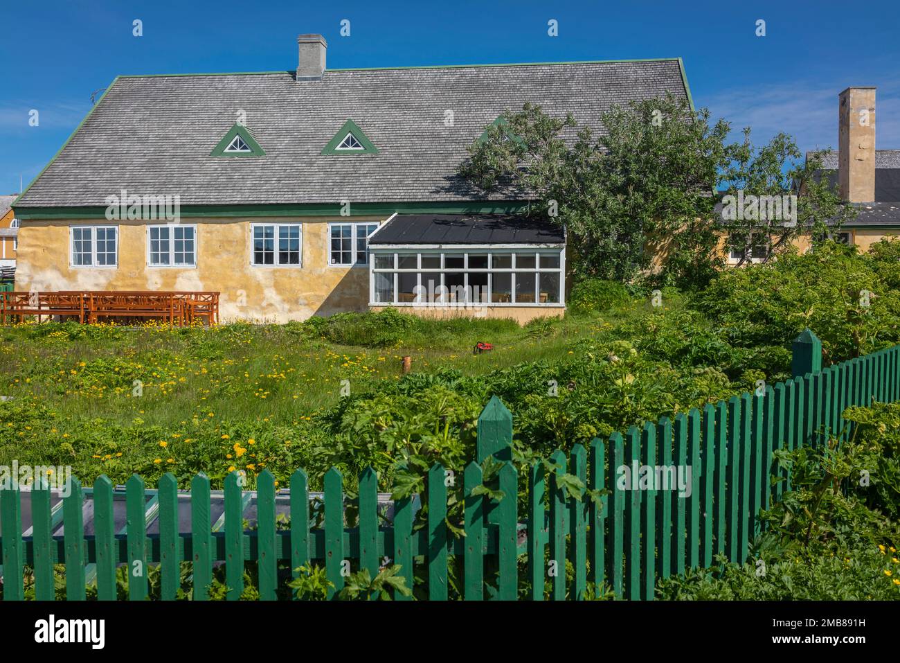 Gebäude in der Hauptstadt Grönlands, Nuuk. Geschützter Baum ist einer von wenigen. Stockfoto