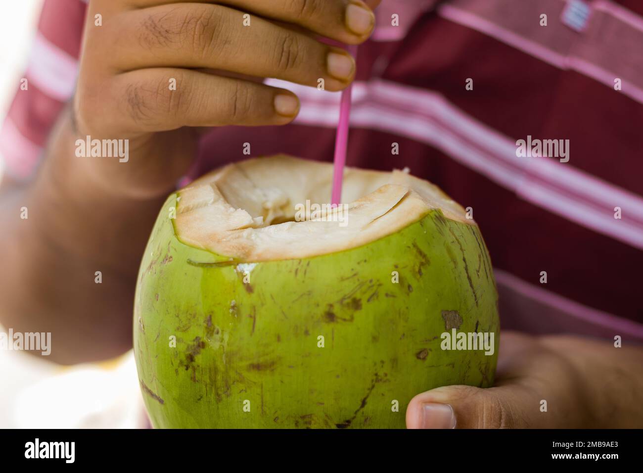 Zartes Kokosnusswasser oder grünes Kokosnusswasser mit einem Strohhalm als gesundes erfrischendes Getränk im Sommer. Stockfoto