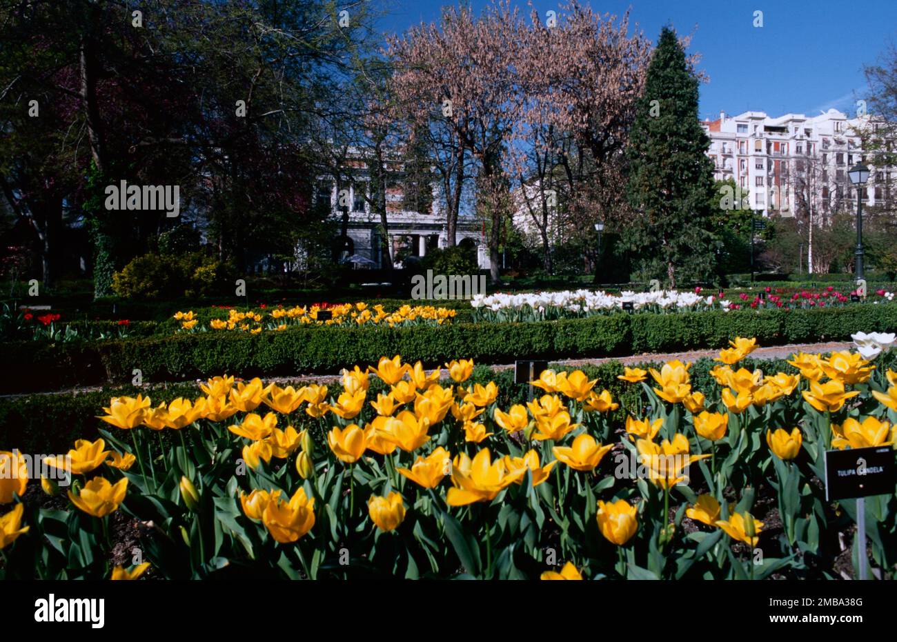 Royal Botanic Gardens, Madrid, Spanien Stockfoto