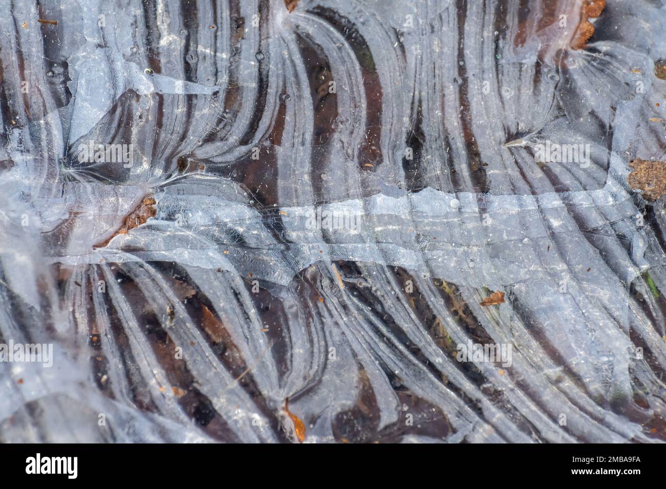 Nahaufnahme von Eismustern oder Eisformationen bei frostigem Wetter in Wäldern, England, Großbritannien Stockfoto