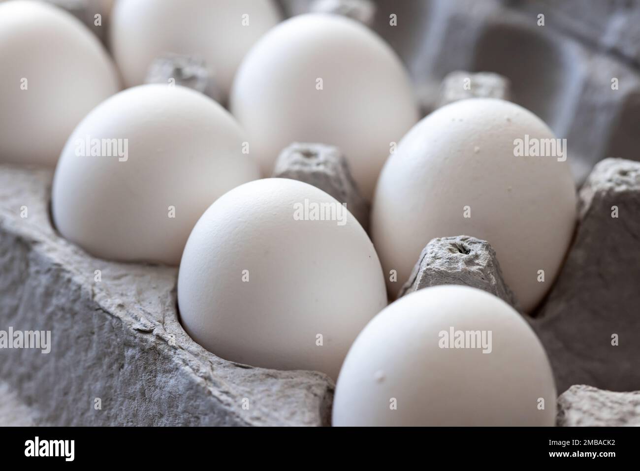 Karton mit Eiern von weißem Hühnchen. Stockfoto