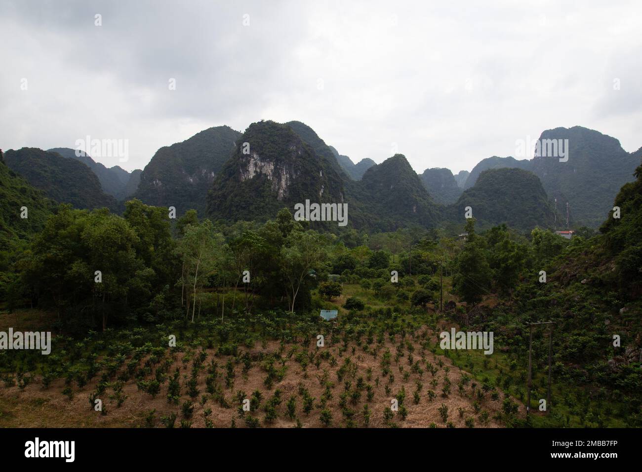 Cat Ba Island Interior Mountains ( Landschaft ) Ha Long Bay , Vietnam Stockfoto