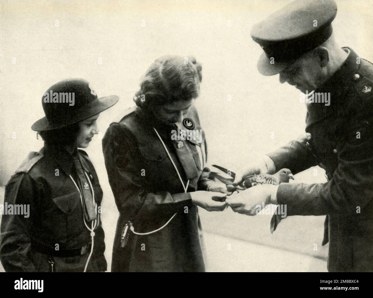 "Pigeon Post", 20. Februar 1943 (1947). Prinzessin Elizabeth (zukünftige Königin Elizabeth II.) und ihre jüngere Schwester Prinzessin Margaret Rose, Mitglieder der Buckingham Palace Company of Girl Guides, senden Lady Baden-Powell zum Geburtstag eine Nachricht per Brieftaube. Der 20. Februar war auch der Geburtstag ihres Mannes, des verstorbenen Lord Baden-Powell, Gründer der Pfadfinderbewegung. Von "Prinzessin Elizabeth: The Illustrated Story of 21 years in the Life of the Thron Presumptive" von Dermot Morrah. [Odhams Press Limited, London, 1947] Stockfoto