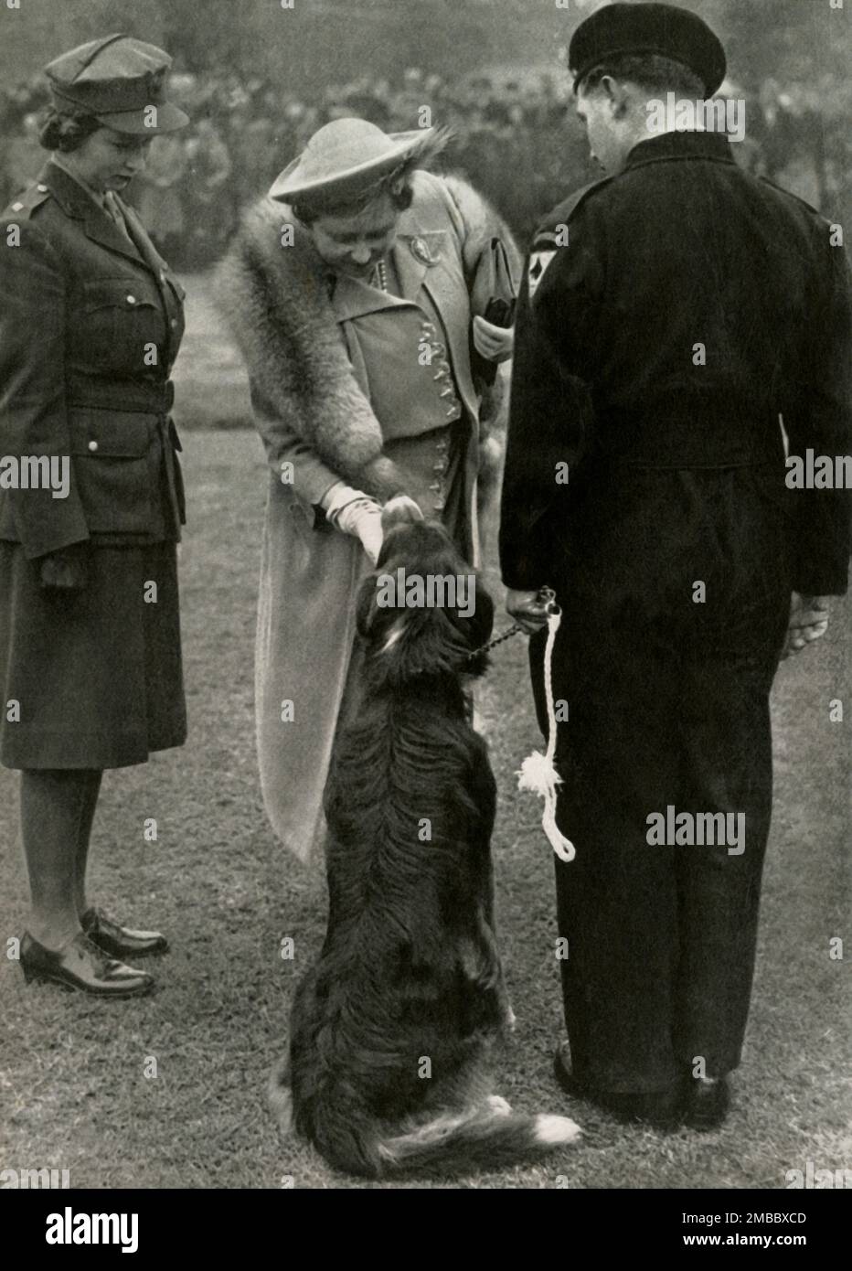 "Lebewohl Zum Zivilschutz", 10. Juni 1945 (1947). Stand-down-Parade der Zivilverteidigungskräfte, Hyde Park, London, Ende des Zweiten Weltkriegs. Prinzessin Elizabeth (zukünftige Königin Elizabeth II.) und ihre Mutter, die Königin, bewundern Peter, ein Mitglied der Hunderettungstruppen. Von "Prinzessin Elizabeth: The Illustrated Story of 21 years in the Life of the Thron Presumptive" von Dermot Morrah. [Odhams Press Limited, London, 1947] Stockfoto