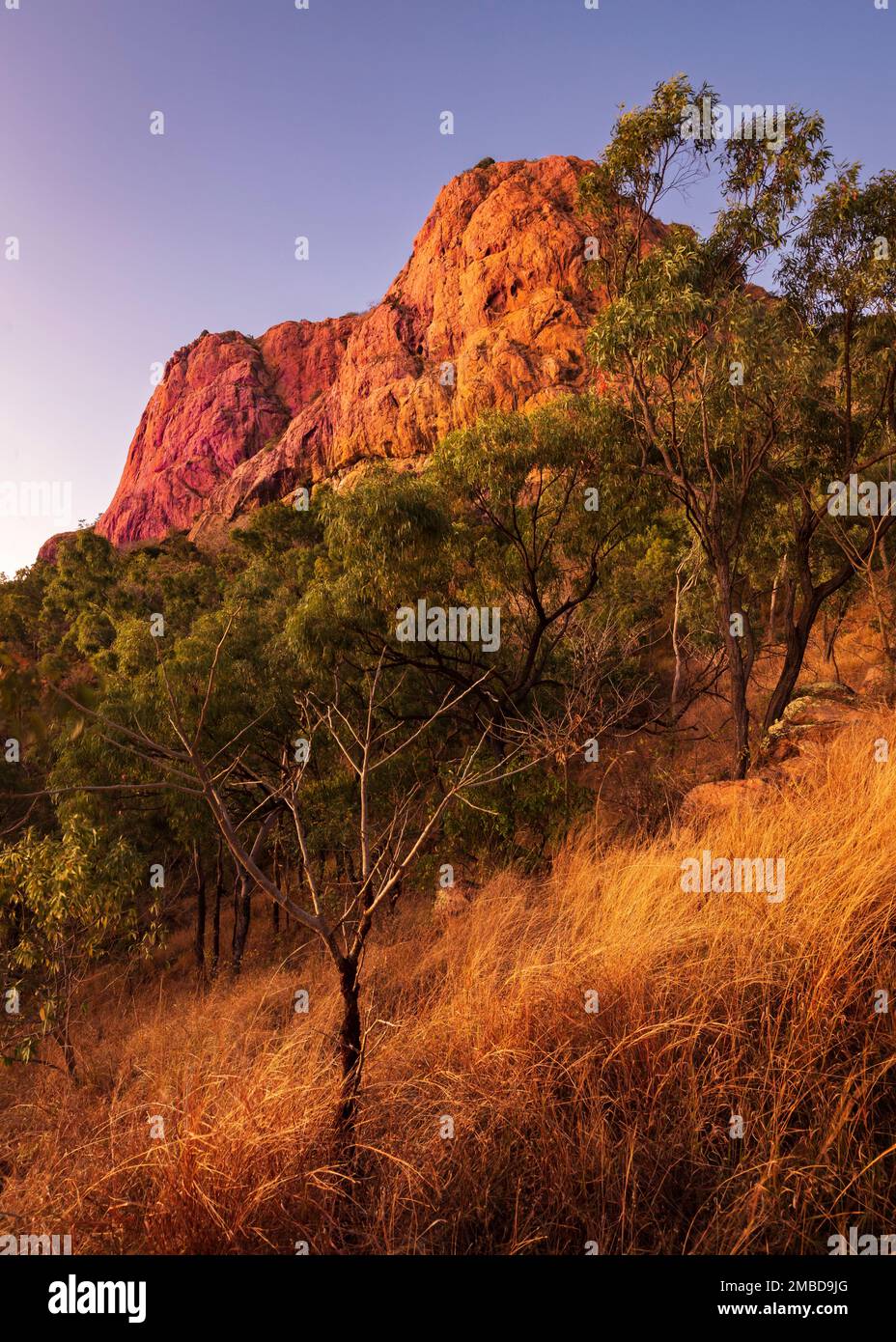 Eine vertikale Aufnahme des Castle Hill Berges bei Sonnenaufgang und Morgengrauen in Townsville, weit nördlich von queensland, australien Stockfoto