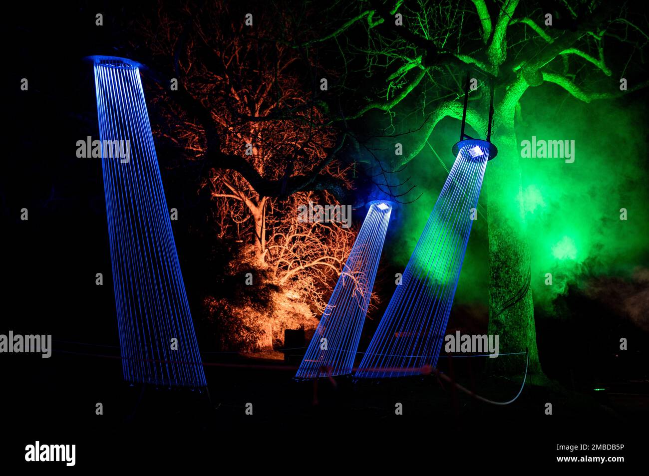 Essen, Deutschland. 20. Januar 2023. An den Bäumen im Grugapark hängen Lichtinstallationen. Der Grugapark in Essen wird in den kommenden Wochen in fantasievollem Licht erstrahlen. Vom 21. Januar 2023 bis zum 26. Februar 2023 werden die Parklichter vom Lichtkünstler Flammersfeld installiert. Mit LEDs und Beamern wird der Grugapark zu einem Meer aus Lichtern. Kredit: Fabian Strauch/dpa/Alamy Live News Stockfoto