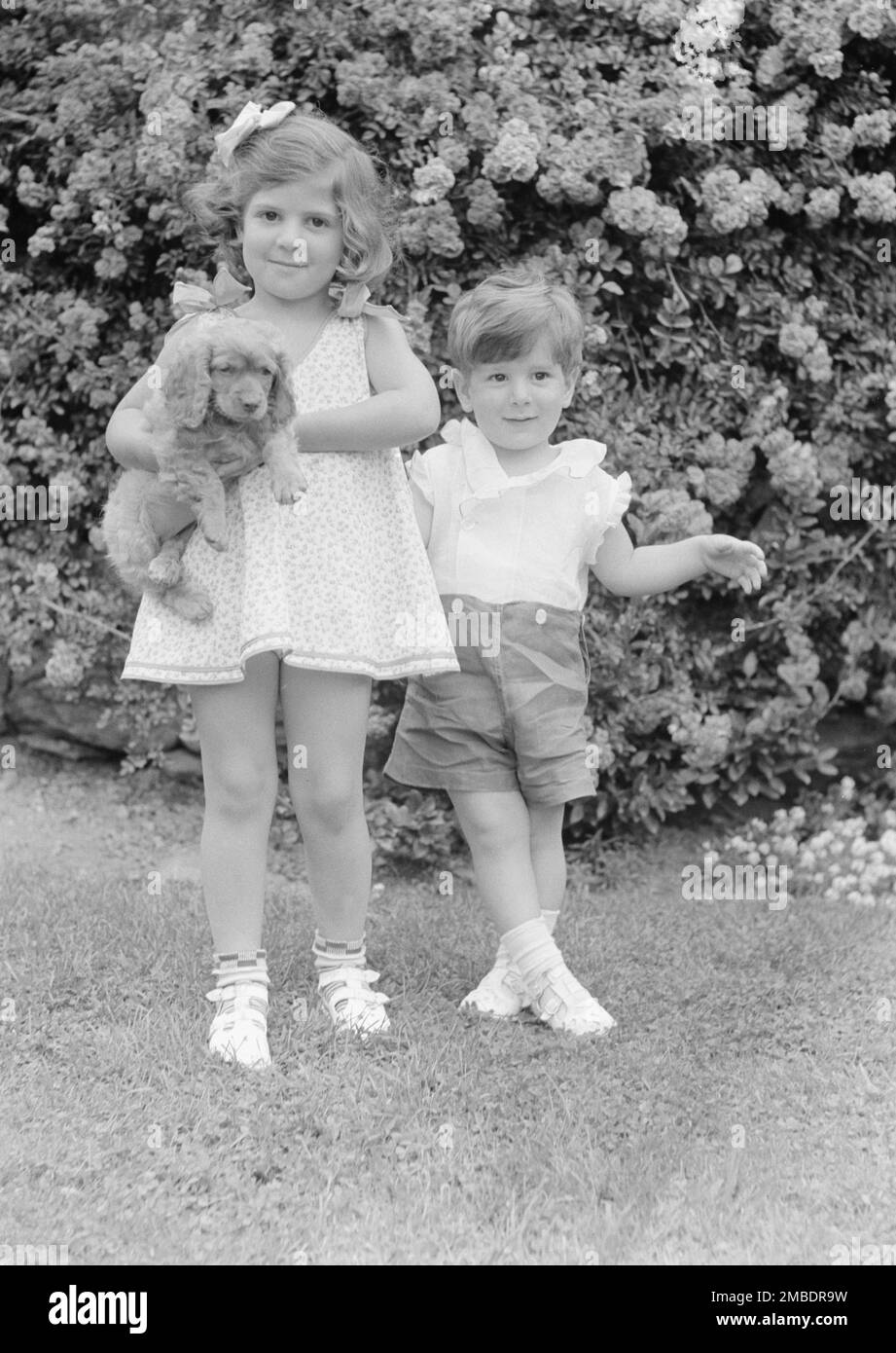 Javits, Benjamin, Kinder von, mit Hund, stehen draußen, 1933. Juli. Stockfoto