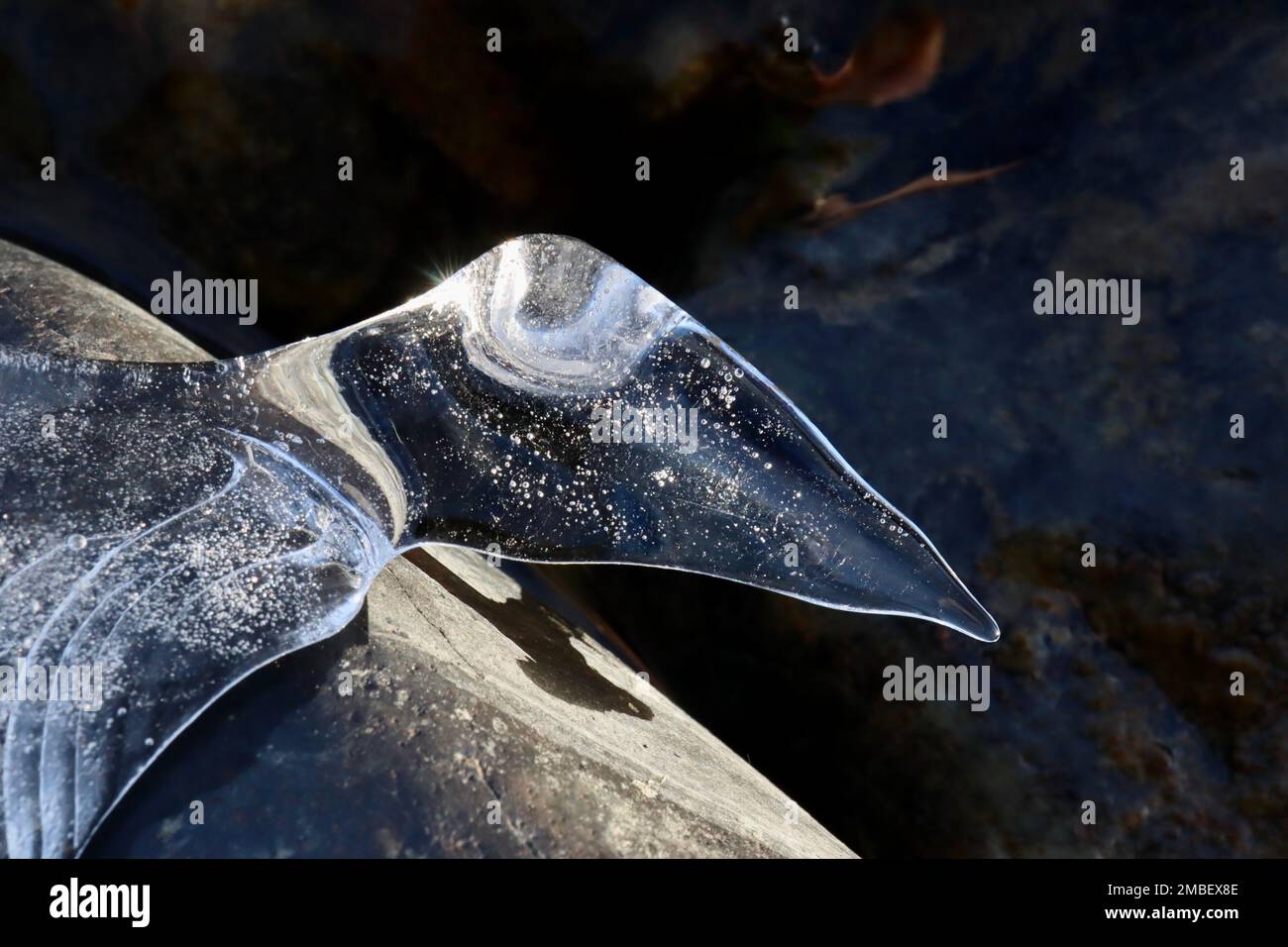 Elegante, vogelartige Miniatur-Eisskulptur, die auf einem sonnenbeleuchteten Flussfelsen mit fließendem Wasser im Hintergrund sitzt Stockfoto