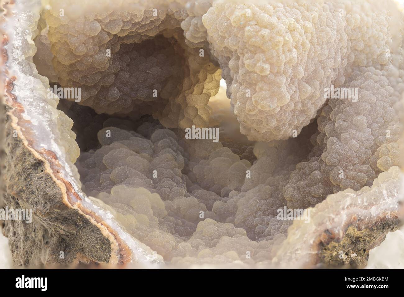 druse aus Chalcedon, eine Quarzsorte. Mineral zum Sammeln Stockfoto