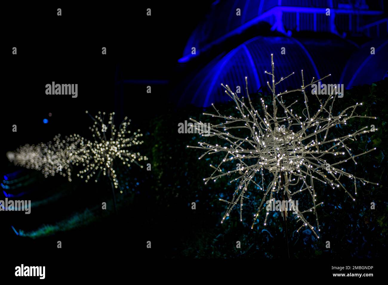 Weihnachten im Kew 2022 - Lichter schmücken die königlichen botanischen Gärten Stockfoto