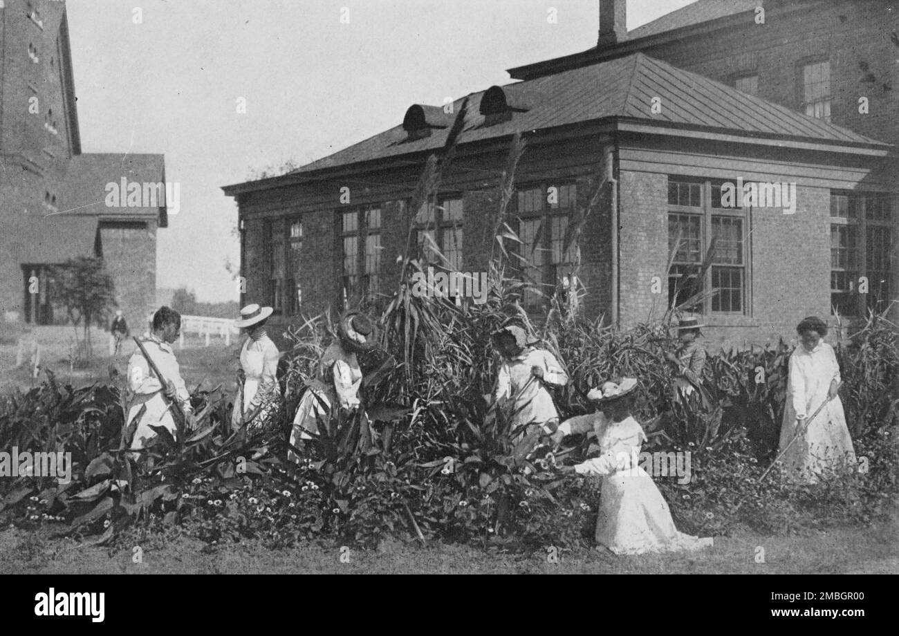 Outdoor-Arbeit für Mädchen, 1904. Stockfoto