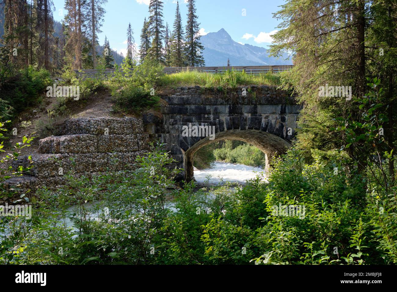 Alte Steinbrücke, die ursprünglich für Zugbögen über dem rauschenden Wasser des Illecillewaet River im Glacier-Nationalpark, BC, errichtet wurde Stockfoto
