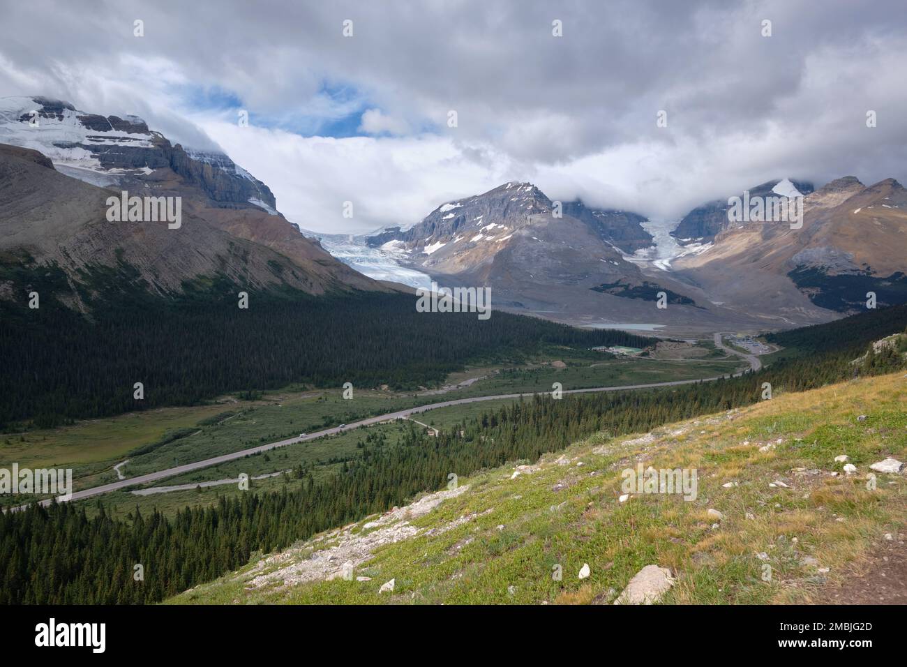 Der Icefield Parkway von Alberta, der von oben auf dem Wilcox Pass Trail verläuft, schlängelt sich unter drei Zehen des Columbia Icefield, einschließlich Athabasca und Dome Gletscher. Stockfoto