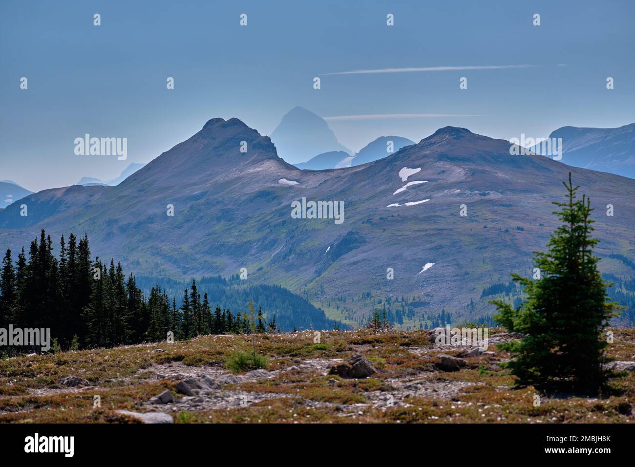 Hoch oben in den Alpen der Sunshine Meadows bei Banff erhebt sich der Mount Assiniboine von BC in der trüben Entfernung über baumlose Berggipfel. Stockfoto