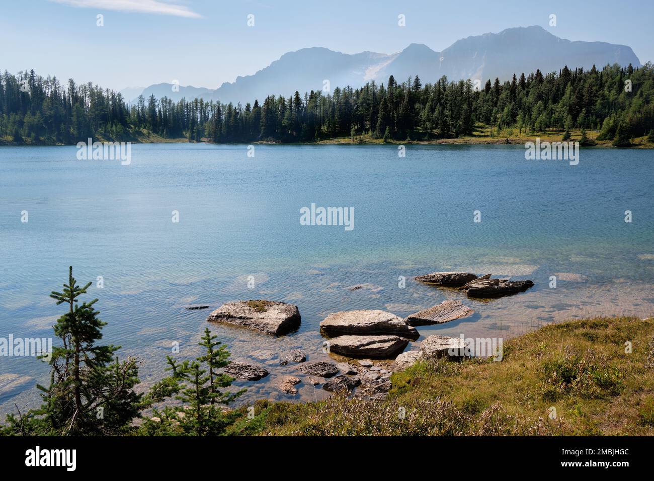 Blick von der felsigen Ostküste des Larix Lake, über eine bewaldete Westküste, zum Monarch Mountain in der Ferne Stockfoto