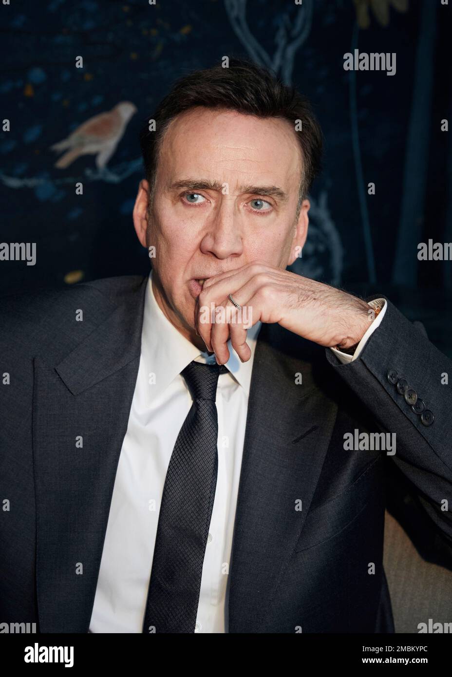 Nicolas Cage poses for a portrait to promote