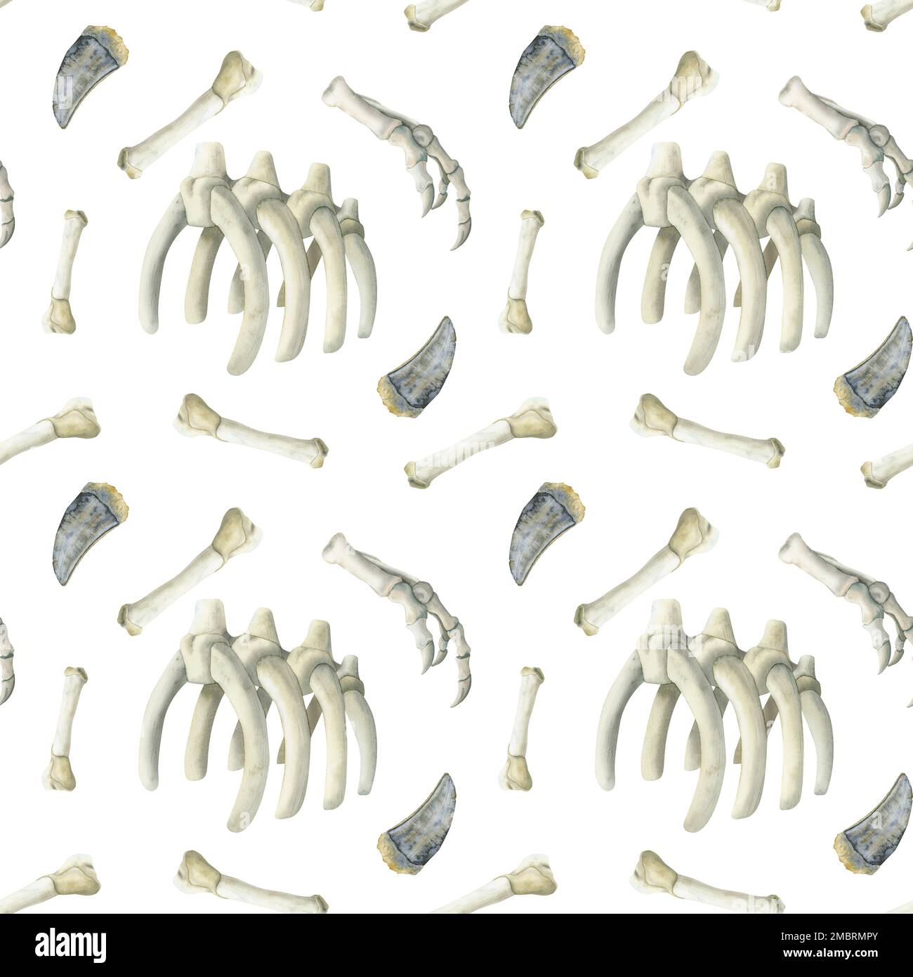 Aquarelle Dinosaurierknochen nahtloses Muster mit realistischem Tyrannosaurus Skull, Zähnen, Hand, Rippen auf weißem Hintergrund. Stockfoto