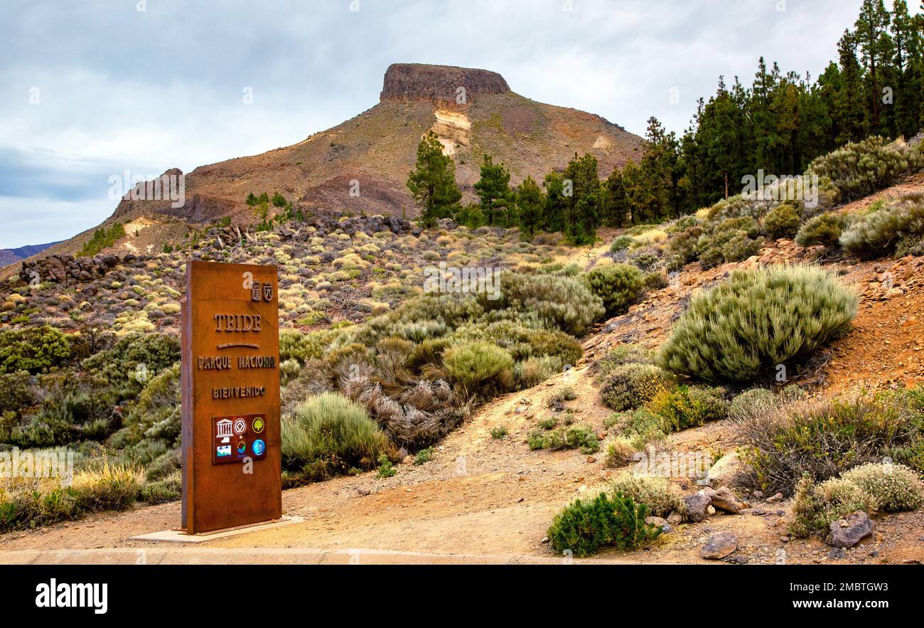 Teneriffa, Spanien 24. Dezember 2018: Nationalpark Teide auf der Insel Teneriffa - Kanarische Spanien Stockfoto