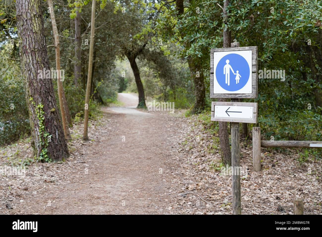 Ein hölzerner Pfeil zeigt in Richtung des Fußwegs für einen Wanderweg im natürlichen Wald Stockfoto