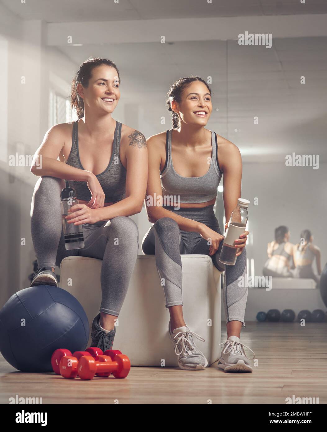 Lasst uns aufeinander anstoßen und zuschauen, wie sich gegenseitig wachsen. Zwei junge Frauen sehen glücklich aus, während sie zusammen im Fitnessstudio sitzen. Stockfoto