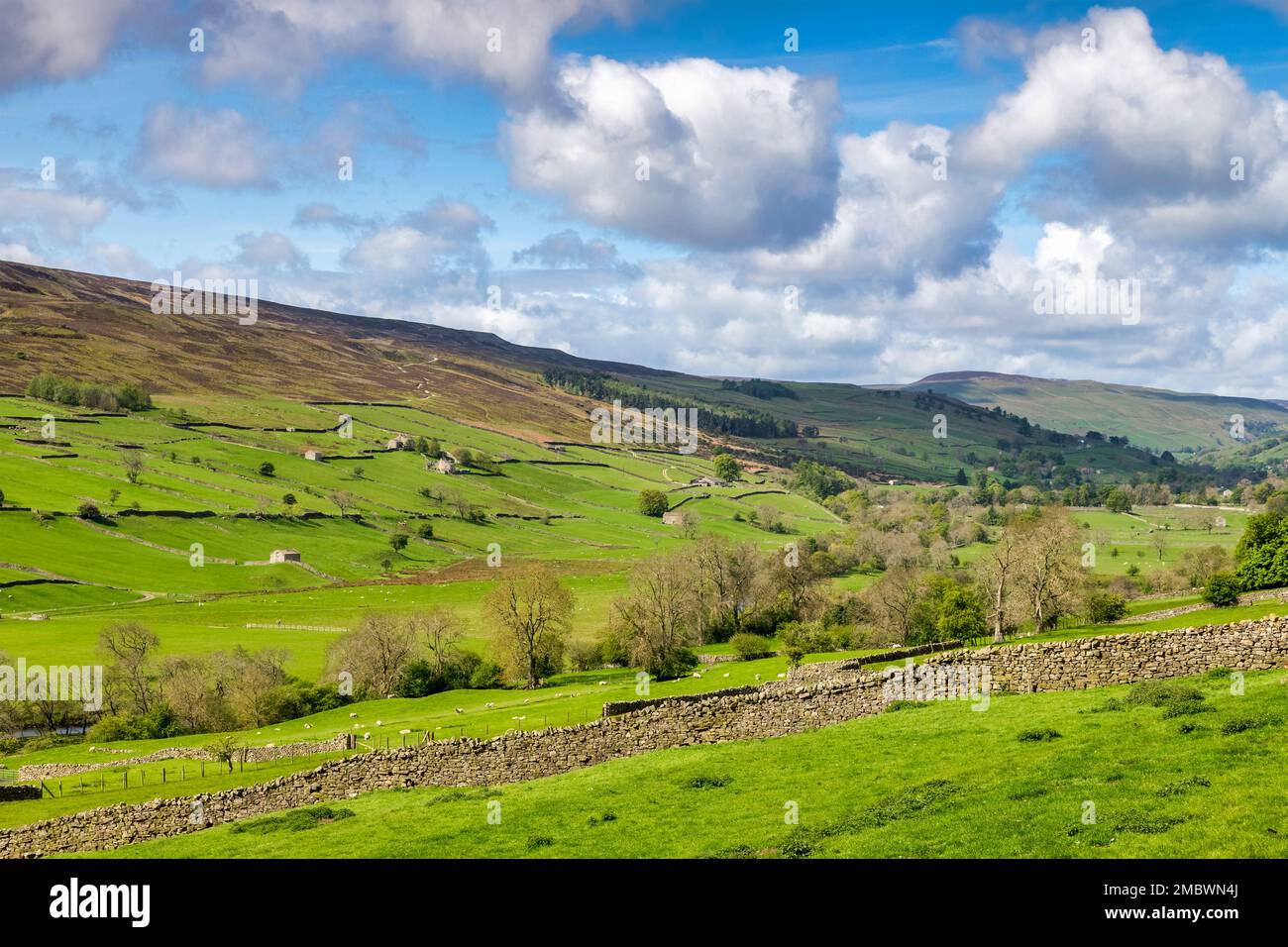 Trockene Steinmauern und Steinhütten an einem hellen Frühlingstag mit wunderschönen Grüns, Swaledale, North Yorkshire, Großbritannien Stockfoto