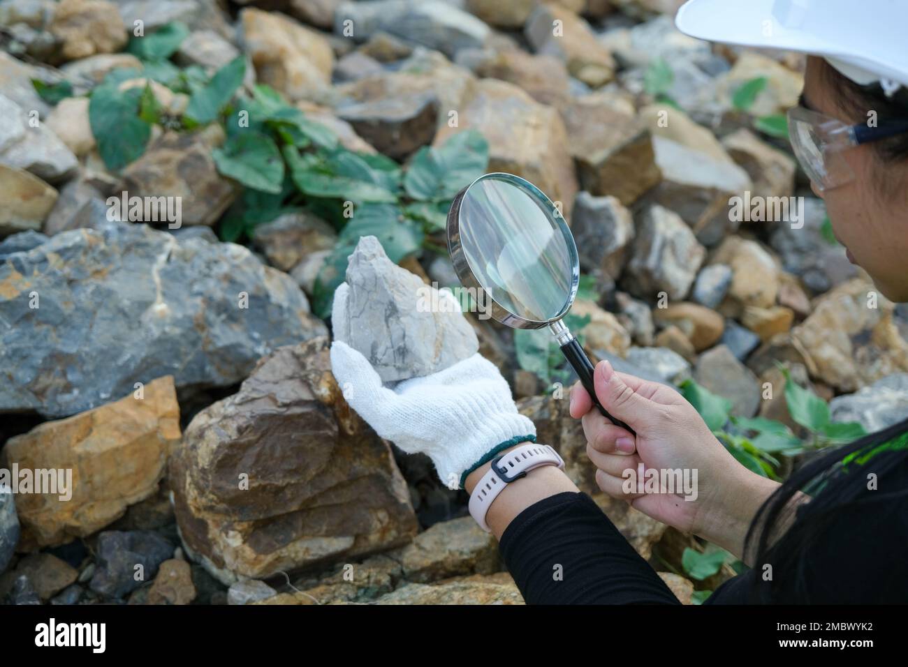 Geologin mit einer Lupe untersucht die Natur und analysiert Steine oder Kiesel. Forscher sammeln Proben von biologischen Materialien. Umweltschützer Stockfoto