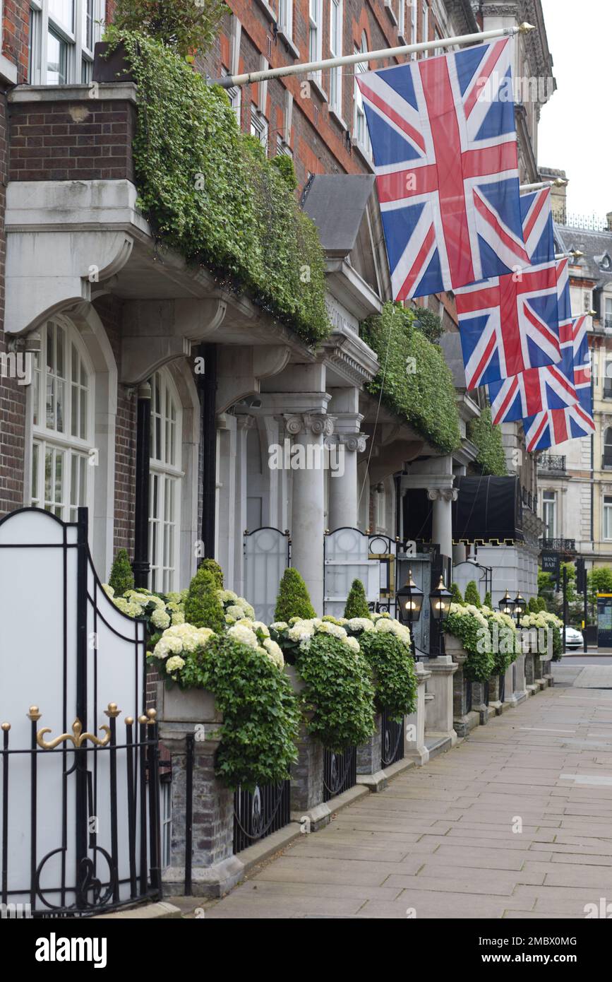 die flaggen der union Jacks fliegen in London Stockfoto