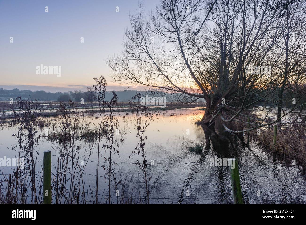 Burgate, Fordingbridge, Hampshire, England, Großbritannien, 21. Januar 2023, Wetter: Überschwemmungen und Frost bei Sonnenaufgang auf dem Fußweg des Avon-Tals durch Ackerland in Richtung New Forest. Die Route ist aufgrund des Hochwassers unpassierbar. Kredit: Paul Biggins/Alamy Live News Stockfoto