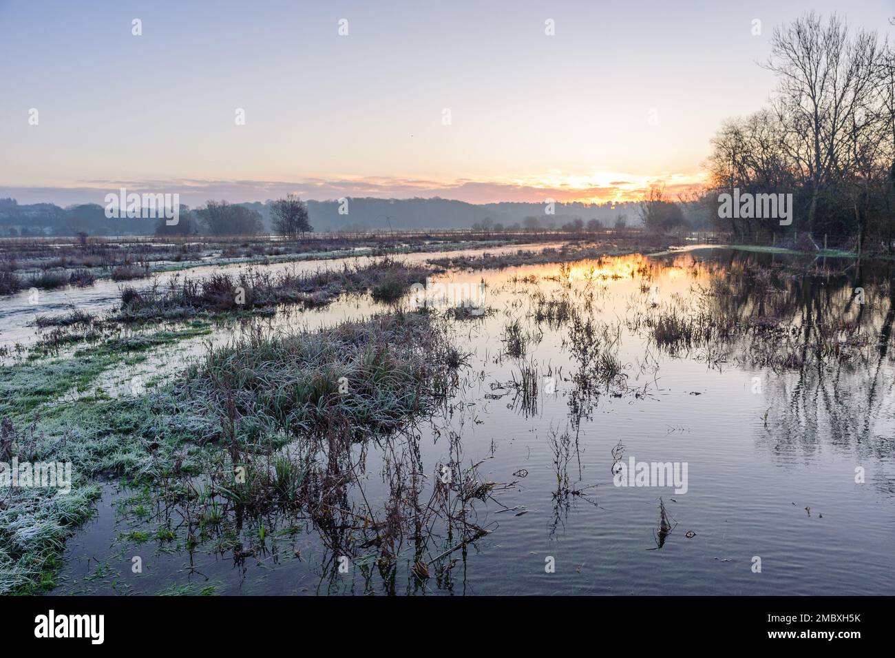 Burgate, Fordingbridge, Hampshire, England, Großbritannien, 21. Januar 2023, Wetter: Überschwemmungen und Frost bei Sonnenaufgang auf dem Fußweg des Avon-Tals durch Ackerland in Richtung New Forest. Die Route ist aufgrund des Hochwassers unpassierbar. Kredit: Paul Biggins/Alamy Live News Stockfoto